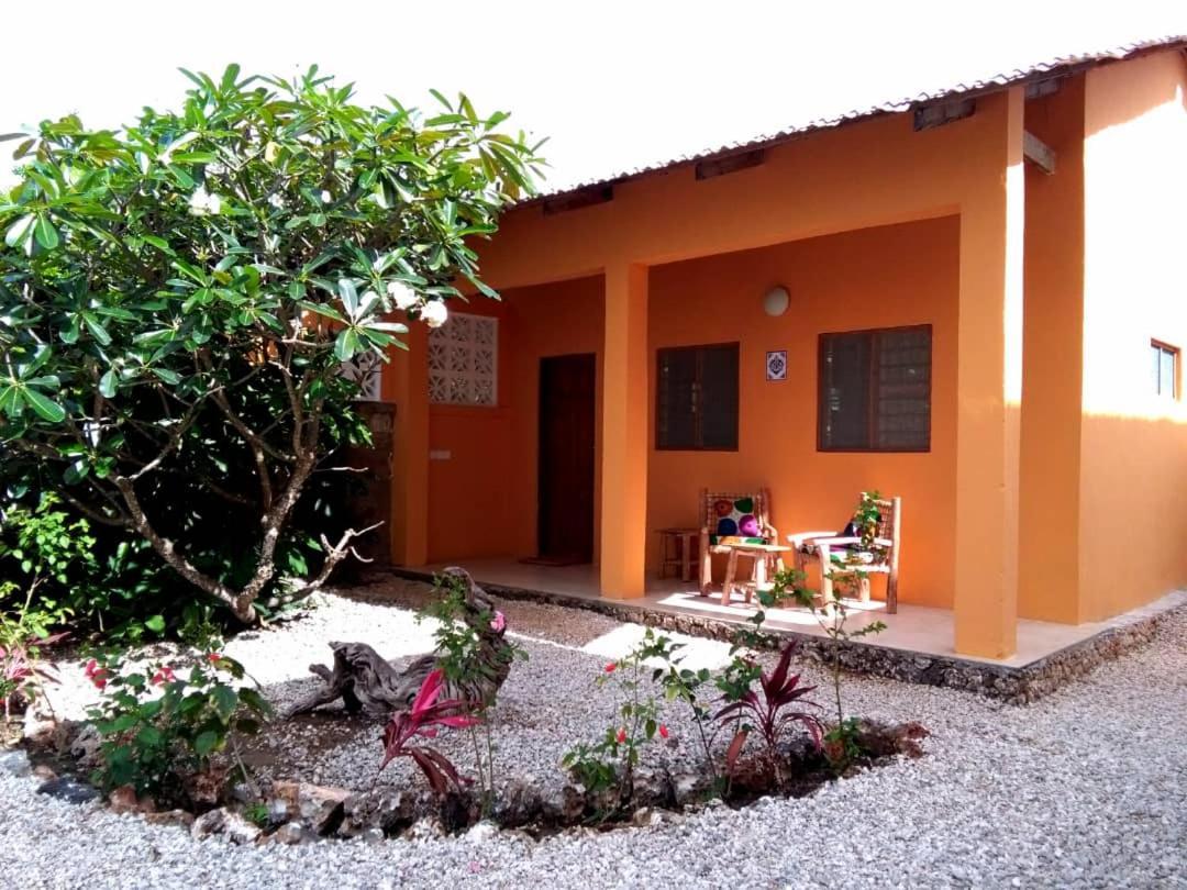 Kamili View Apartments Kiwengwa  Dış mekan fotoğraf