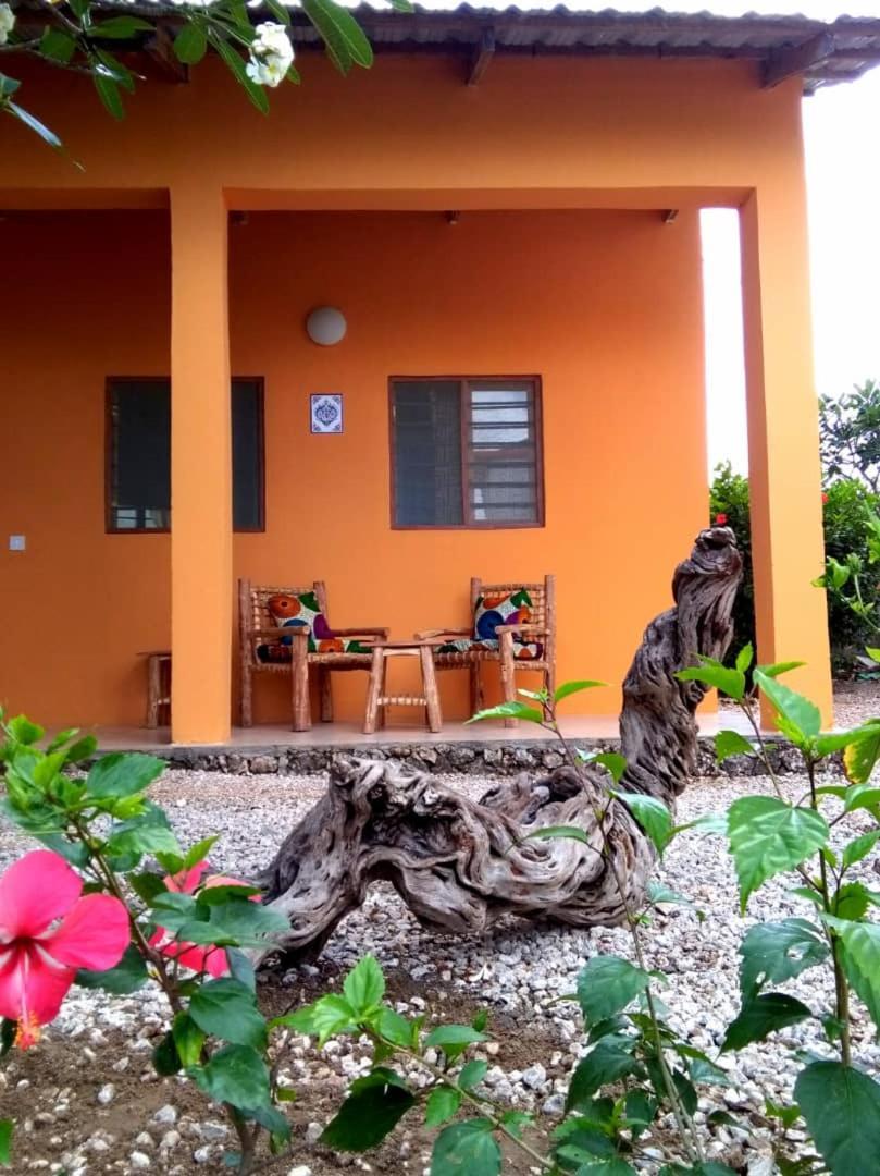 Kamili View Apartments Kiwengwa  Dış mekan fotoğraf